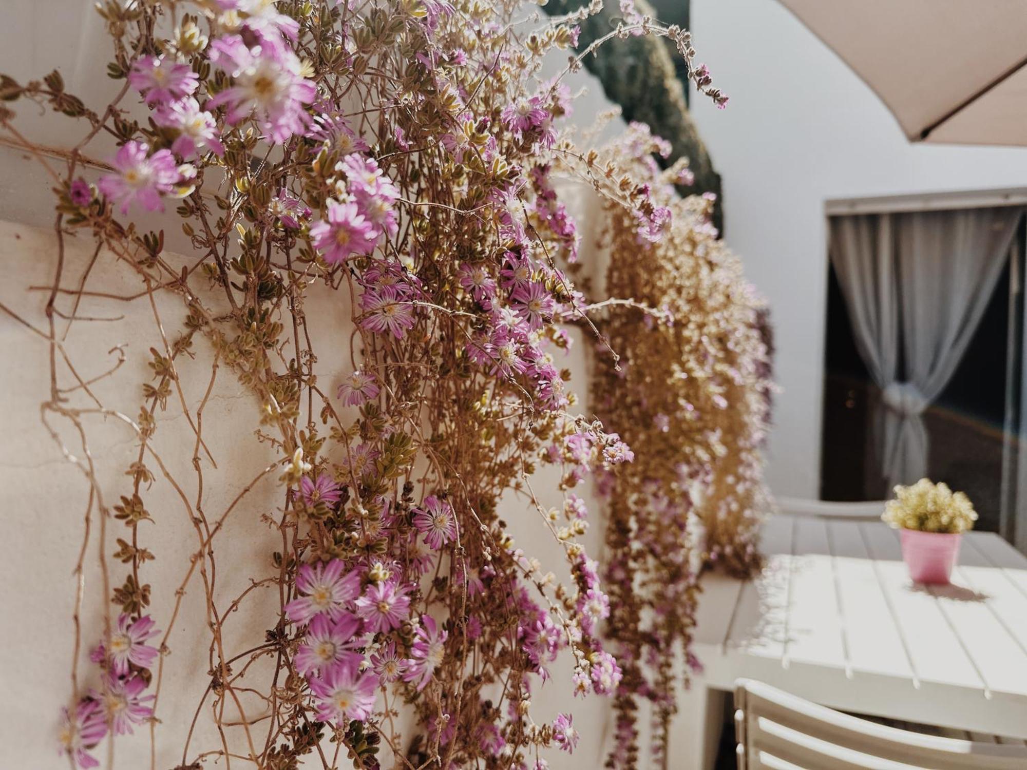 Maria House With Private Garden Olbia Exterior foto