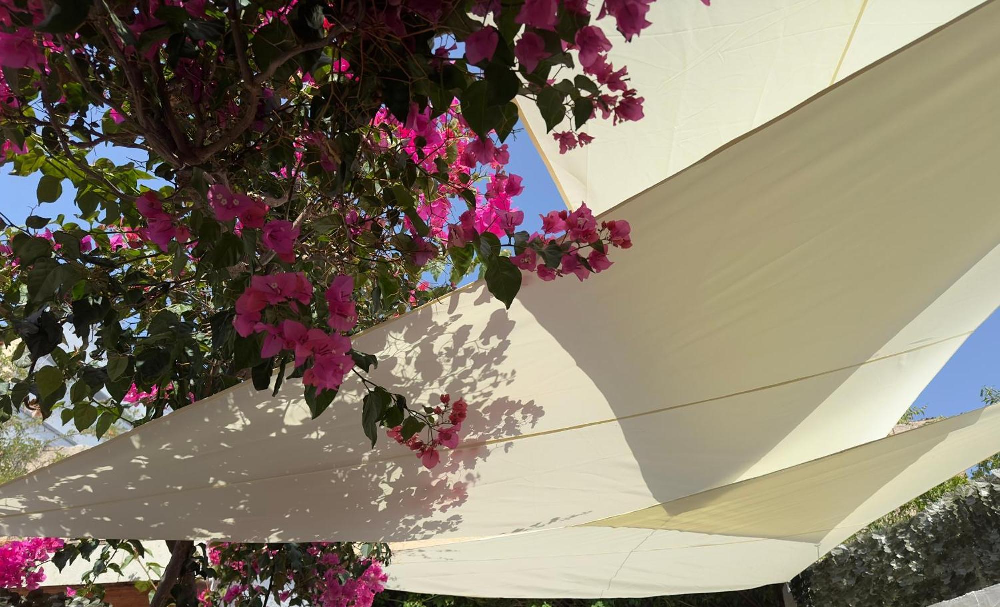 Maria House With Private Garden Olbia Exterior foto