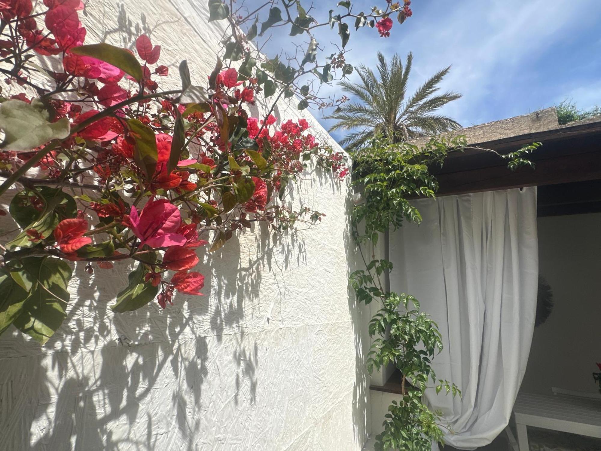 Maria House With Private Garden Olbia Exterior foto